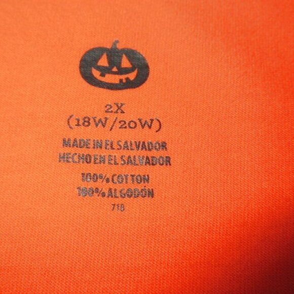 FABULOUSLY WICKED Witch T-SHIRT Size 2X LONG SLEEVE Glitter BATS Spiders WEB Hat - Picture 6 of 8